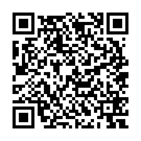 QR code for ZLJ6696