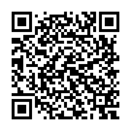 QR code for ZLQ951