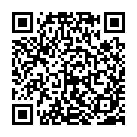 QR code for ZLS380
