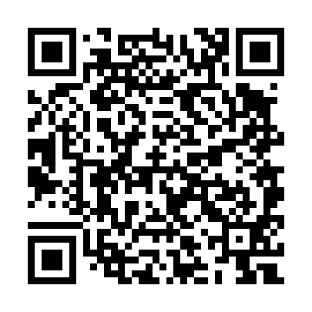 QR code for ZLV491