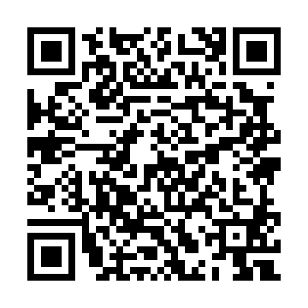 QR code for ZLY0803