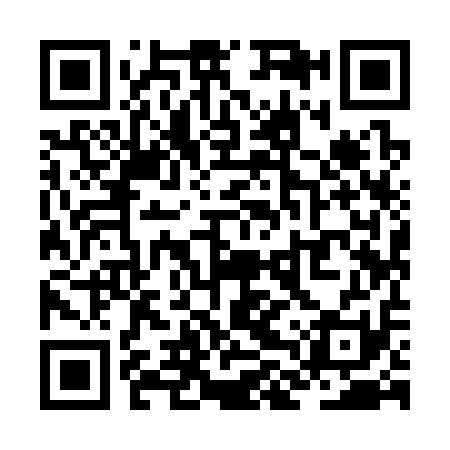 QR code for ZLY311
