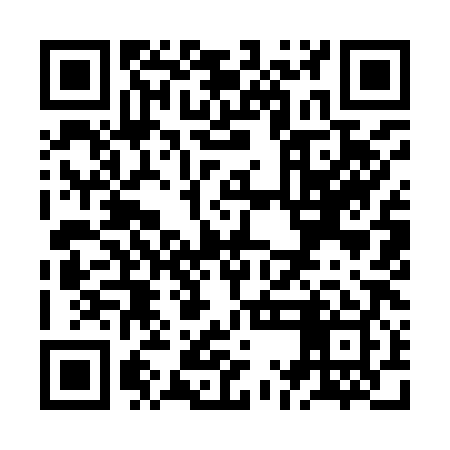 QR code for ZMI989