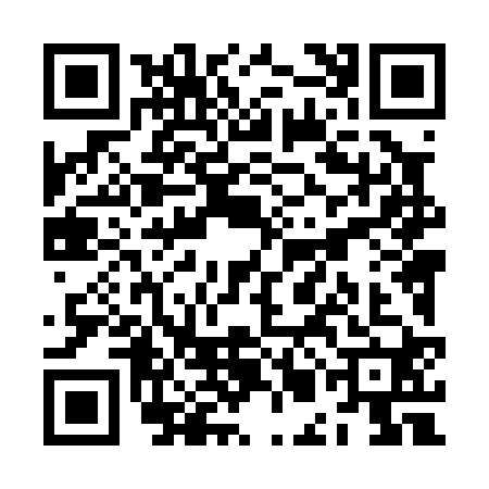 QR code for ZML0206