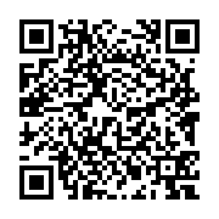 QR code for ZML1316