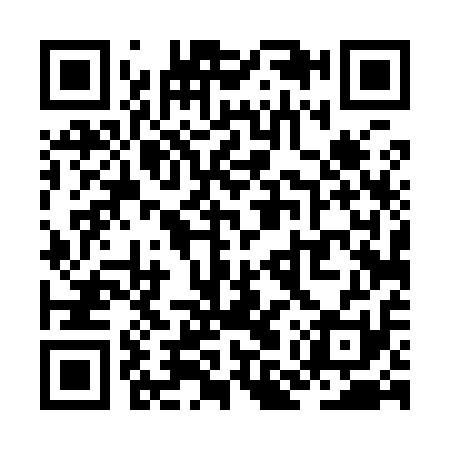 QR code for ZMT911
