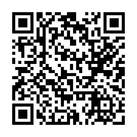 QR code for ZNP994