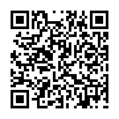QR code for ZNT367