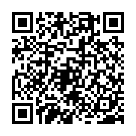 QR code for ZNY2013