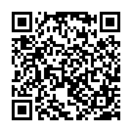 QR code for ZPL206