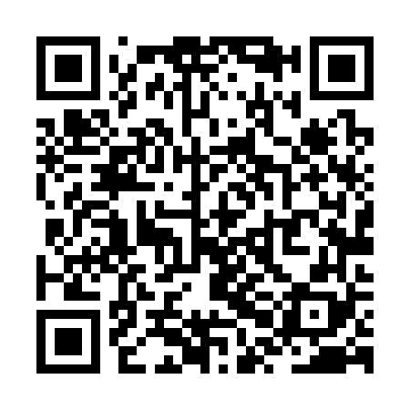 QR code for ZPL368