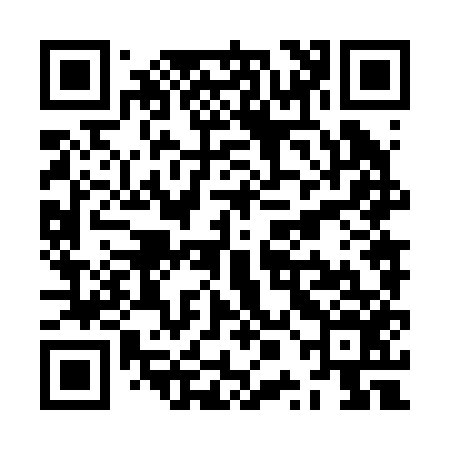 QR code for ZPN256