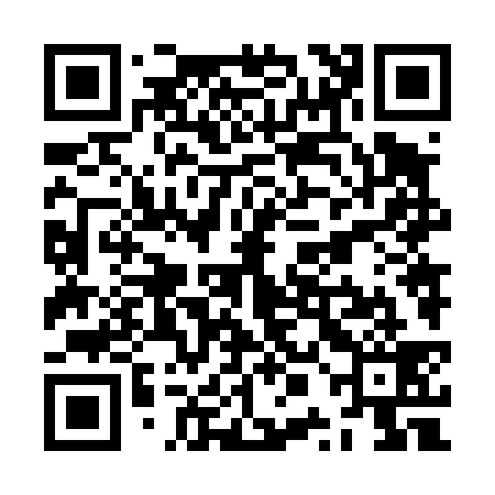 QR code for ZPN439