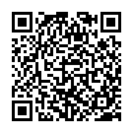 QR code for ZPU384
