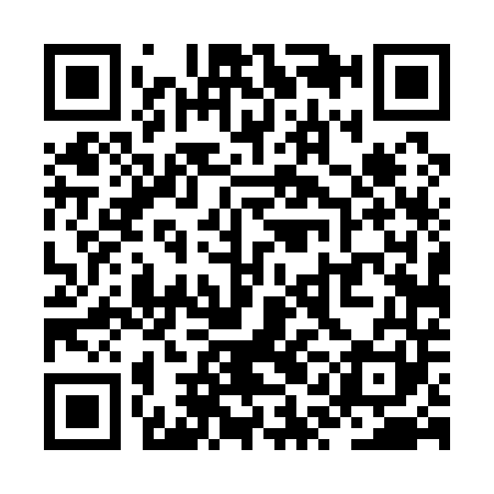 QR code for ZQD141
