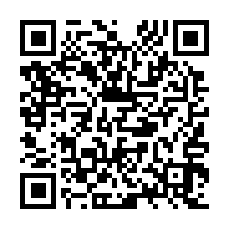 QR code for ZQD313