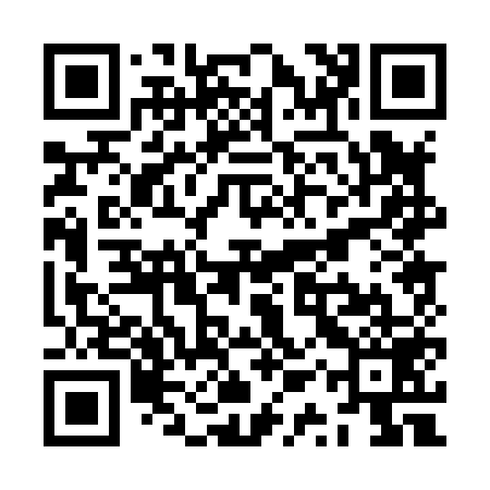 QR code for ZQP859
