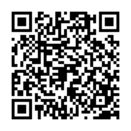 QR code for ZSM2466