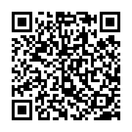 QR code for ZTD609