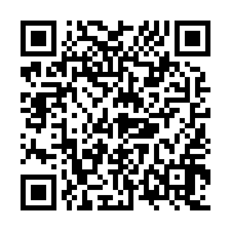 QR code for ZTN816