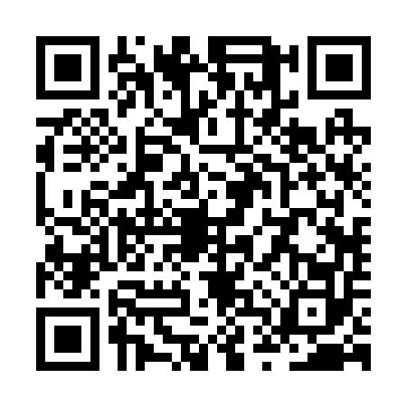 QR code for ZTR2528