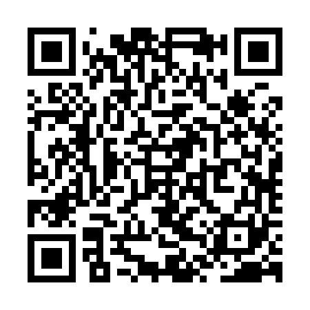 QR code for ZTR961