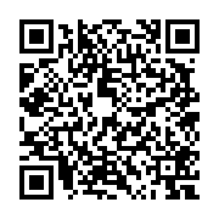 QR code for ZTS4096