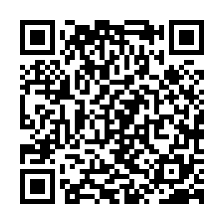 QR code for ZTX875