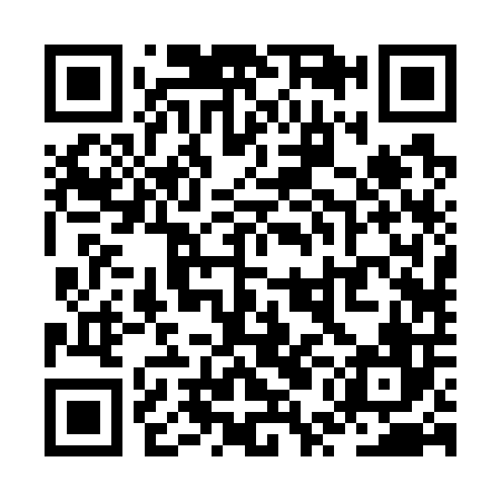 QR code for ZUB706