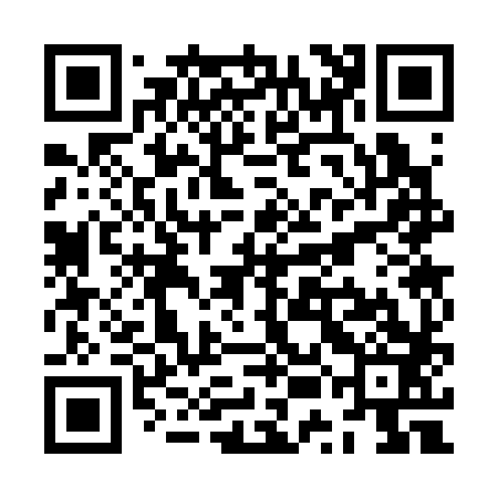 QR code for ZUC383