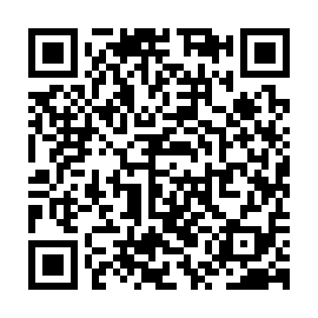 QR code for ZUI319