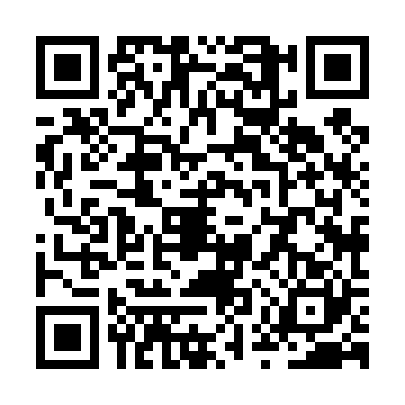 QR code for ZUX4206