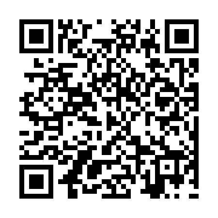 QR code for ZVG388