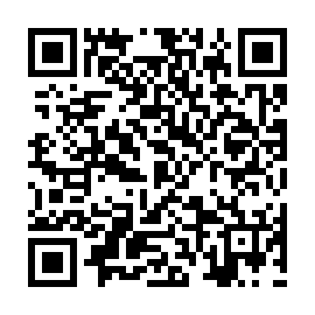 QR code for ZVI376