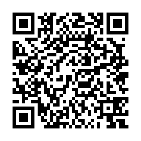 QR code for ZVU0382