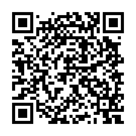 QR code for ZVZ095