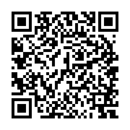 QR code for ZVZ2826