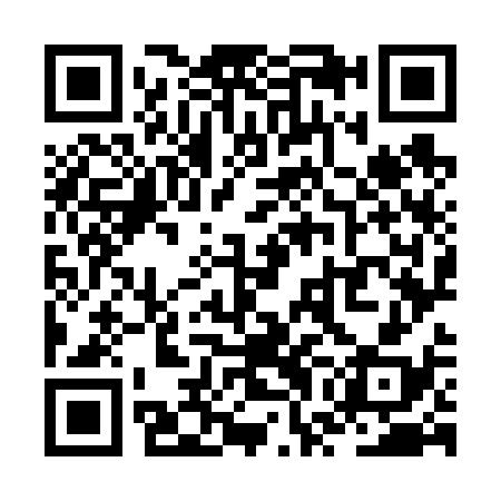 QR code for ZWO638