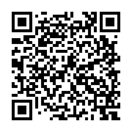 QR code for ZWP196
