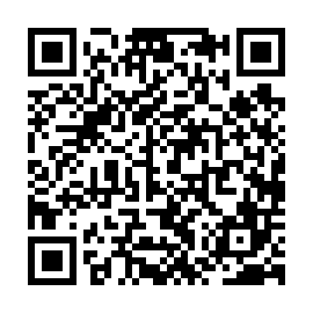 QR code for ZWP606