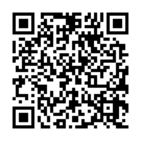 QR code for ZWW3381