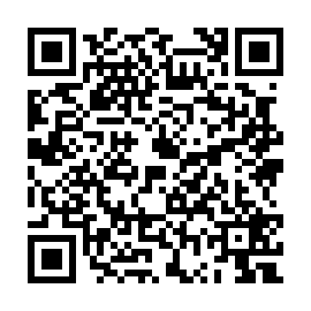 QR code for ZWY0294