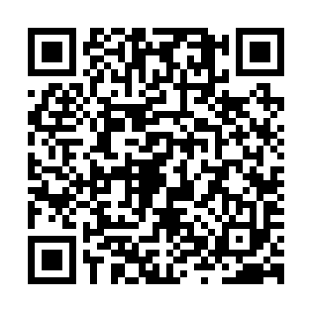 QR code for ZXV2933