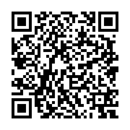 QR code for ZXX4204