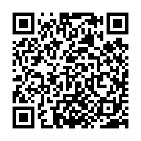 QR code for ZYB611
