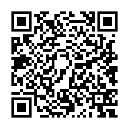 QR code for ZYD1335