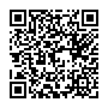 QR code for ZYD3377