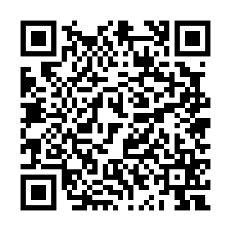 QR code for ZYE0653