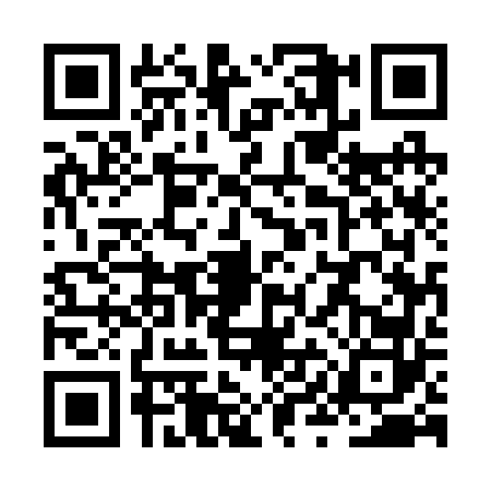 QR code for ZYE2629