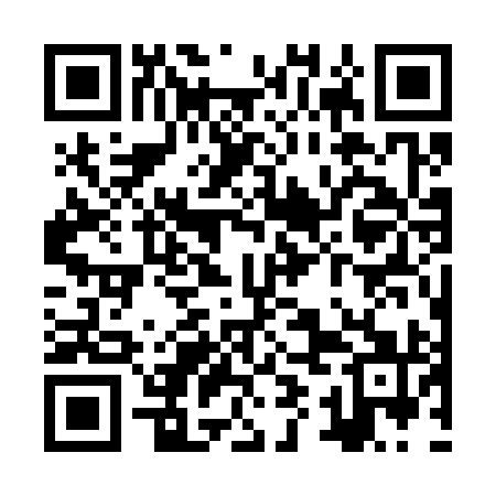 QR code for ZYG391
